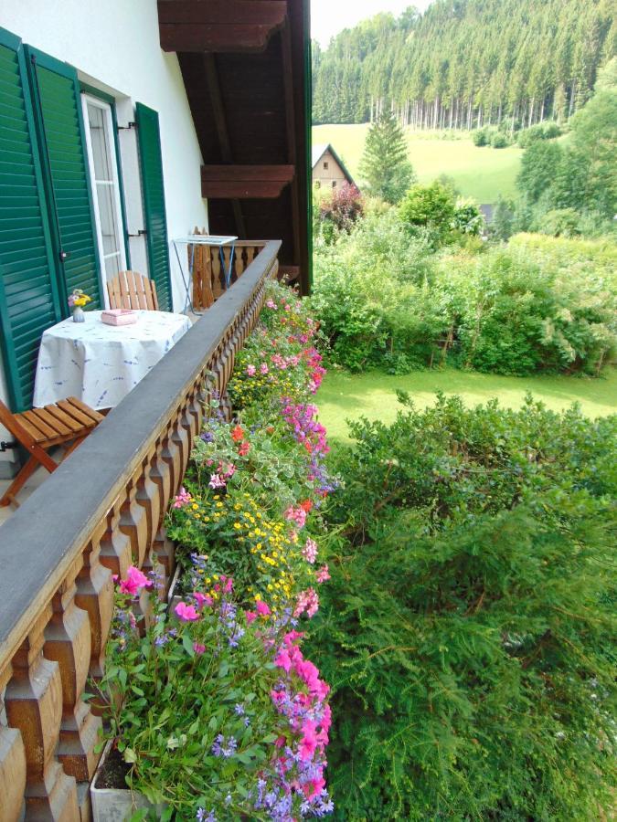 Ferienwohnung Lange Göstling an der Ybbs Eksteriør billede
